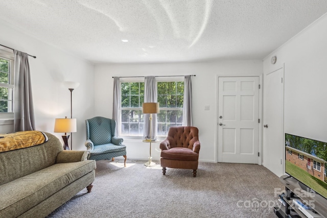 carpeted living room with a textured ceiling and a wealth of natural light