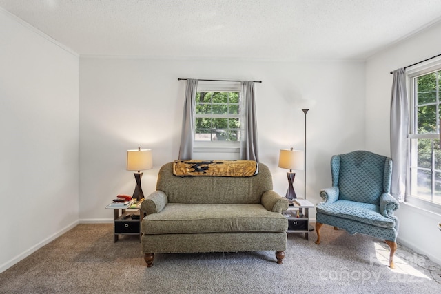 sitting room featuring carpet floors, baseboards, and a textured ceiling