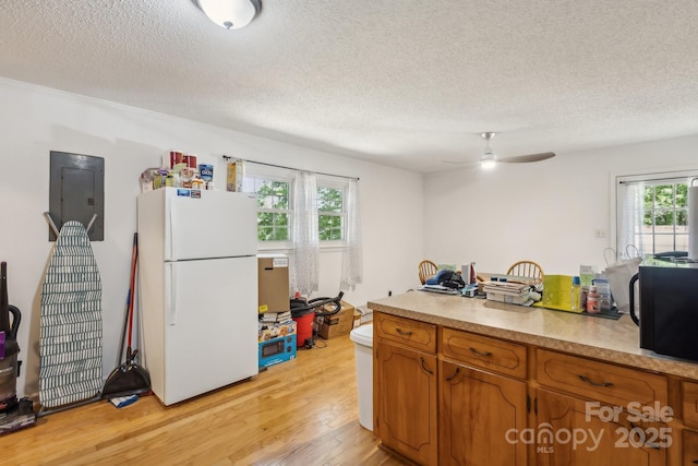 kitchen featuring a textured ceiling, brown cabinetry, freestanding refrigerator, light wood-type flooring, and electric panel