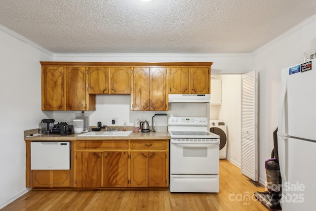 kitchen with brown cabinets, a sink, light wood finished floors, under cabinet range hood, and white appliances