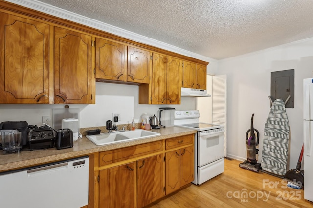 kitchen with a sink, light wood finished floors, white appliances, under cabinet range hood, and electric panel