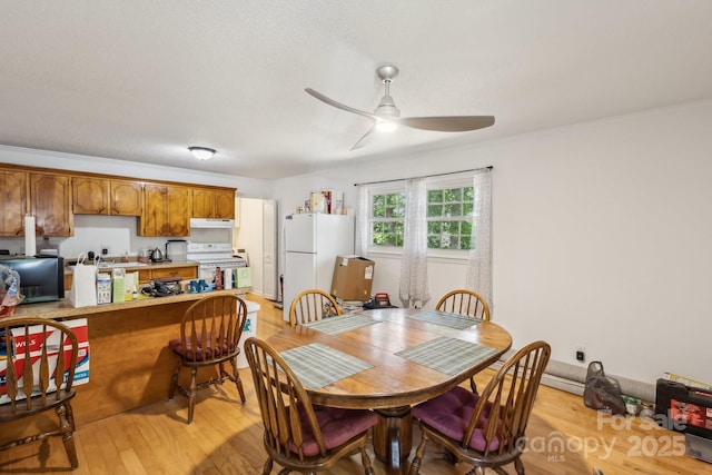 dining room featuring light wood-style floors and ceiling fan