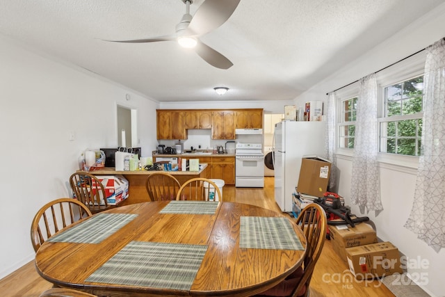 dining room with light wood-style floors, a textured ceiling, and ceiling fan