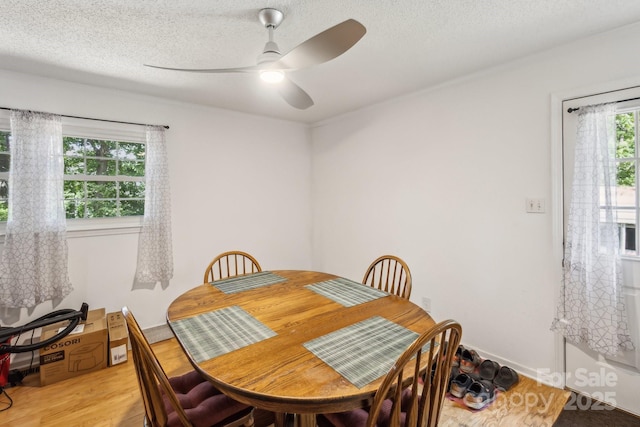dining space with light wood-style floors, baseboards, ceiling fan, and a textured ceiling