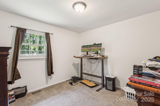 workout area featuring carpet floors, a textured ceiling, baseboards, and visible vents