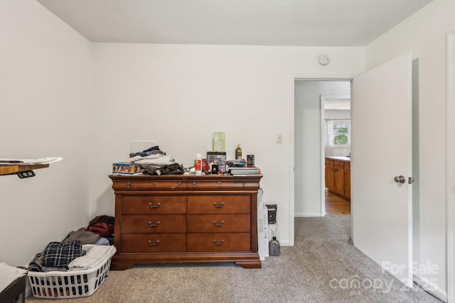 bedroom featuring light colored carpet