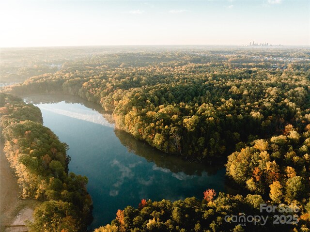 9305 Munsing Dr Unit 142, Charlotte, NC 28269 - drone / aerial view featuring a water view and a forest view