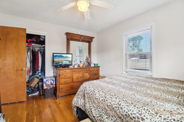 1177 Craigbrow Cir, Chester, SC 29706 - bedroom featuring a closet, a ceiling fan, multiple windows, and light wood-type flooring