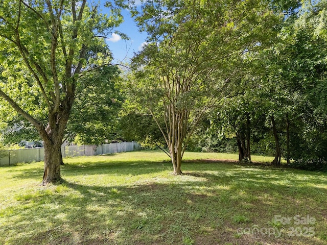 1001 Old Charlotte Rd, Concord, NC 28027 - view of yard