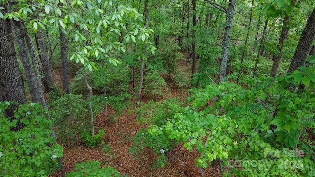 0 Rusty Ln, Lenoir, NC 28645 - photo 13