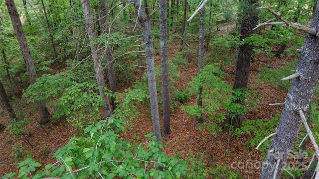 0 Rusty Ln, Lenoir, NC 28645 - photo 14