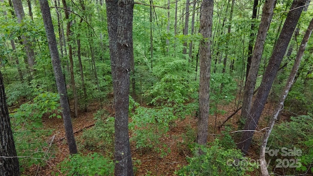 0 Rusty Ln, Lenoir, NC 28645 - photo 9