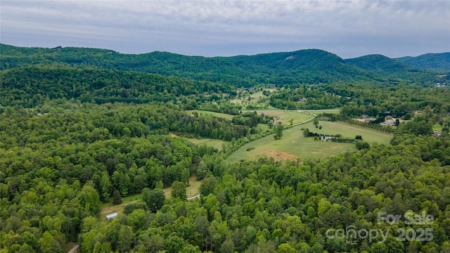 0 Rusty Ln, Lenoir, NC 28645 - photo 8