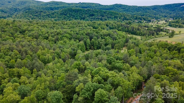 0 Rusty Ln, Lenoir, NC 28645 - photo 12