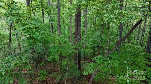 0 Rusty Ln, Lenoir, NC 28645 - photo 18
