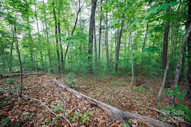 0 Rusty Ln, Lenoir, NC 28645 - photo 3