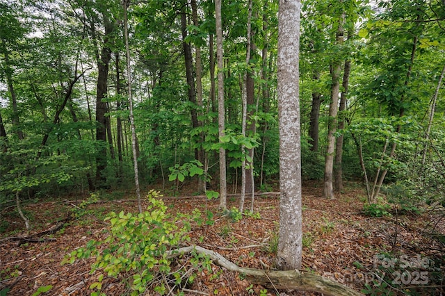 0 Rusty Ln, Lenoir, NC 28645 - photo 4