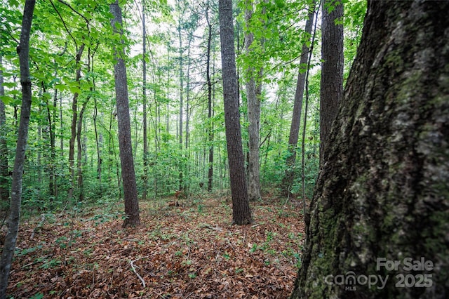 0 Rusty Ln, Lenoir, NC 28645 - photo 2