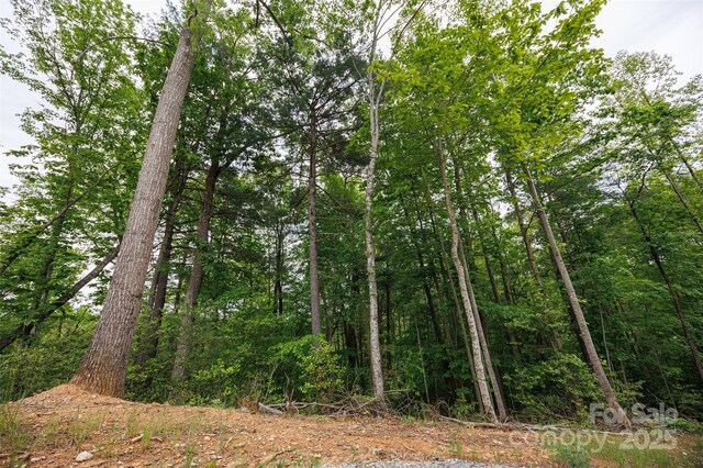 0 Rusty Ln, Lenoir, NC 28645 - photo 6