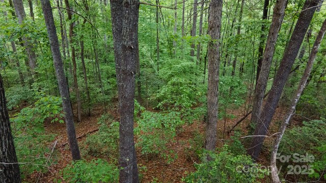 0 Rusty Ln, Lenoir, NC 28645 - photo 7
