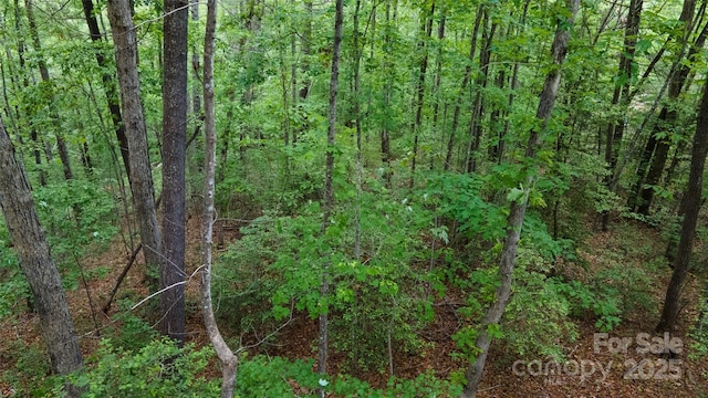 0 Rusty Ln, Lenoir, NC 28645 - photo 17