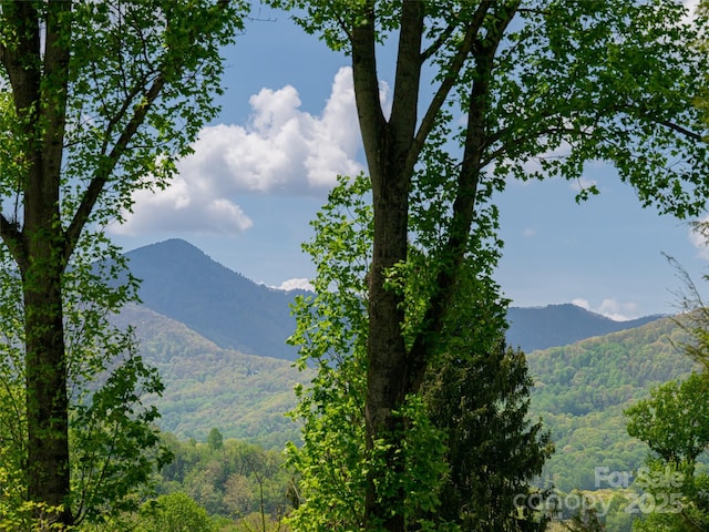 property view of mountains featuring a view of trees