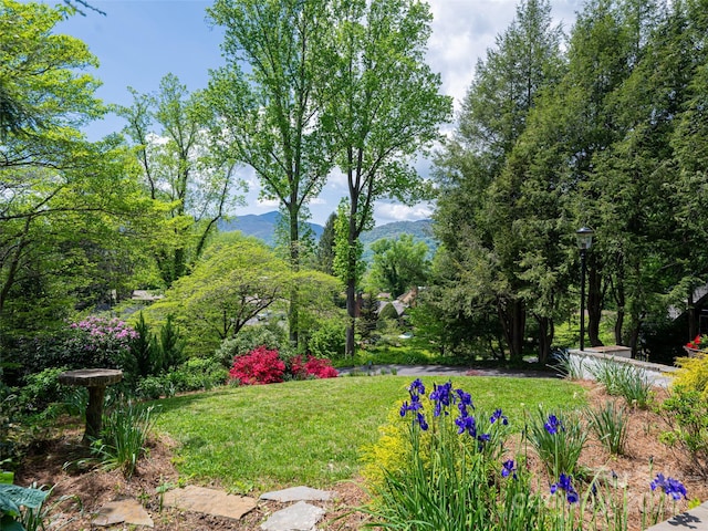 view of property's community with a lawn and a mountain view