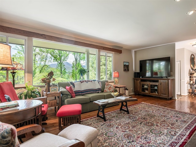 living area with wood finished floors