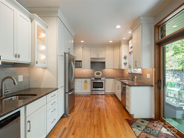 kitchen featuring a sink, light wood-style floors, stainless steel appliances, and under cabinet range hood
