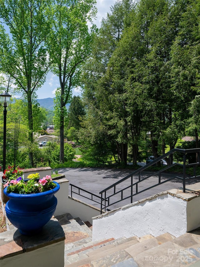 view of community with a mountain view