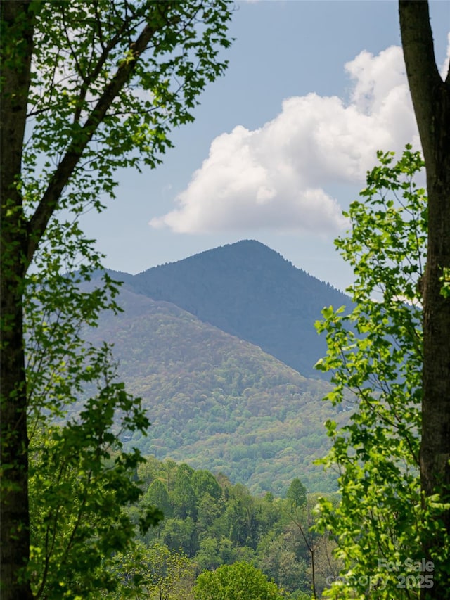 mountain view featuring a forest view