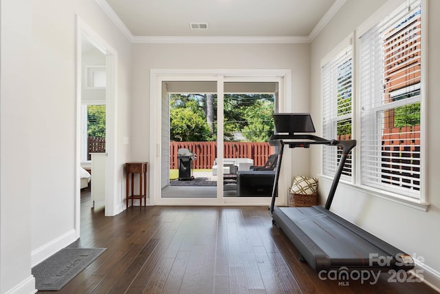 workout room featuring plenty of natural light, dark wood-style flooring, ornamental molding, and baseboards