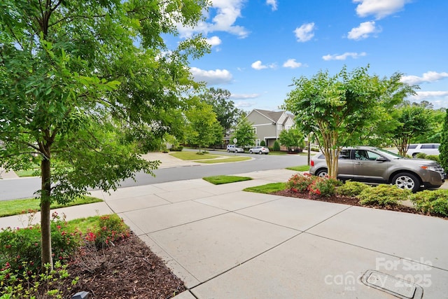 view of yard with a residential view