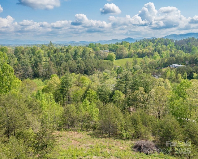7 Spicebush Ln, Weaverville, NC 28787