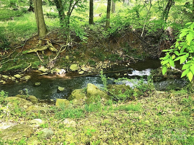8524 Quarters Ln, Mint Hill, NC 28227 - view of local wilderness