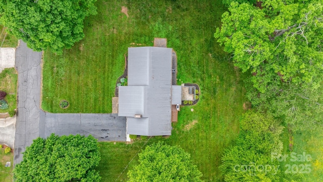 bird's eye view