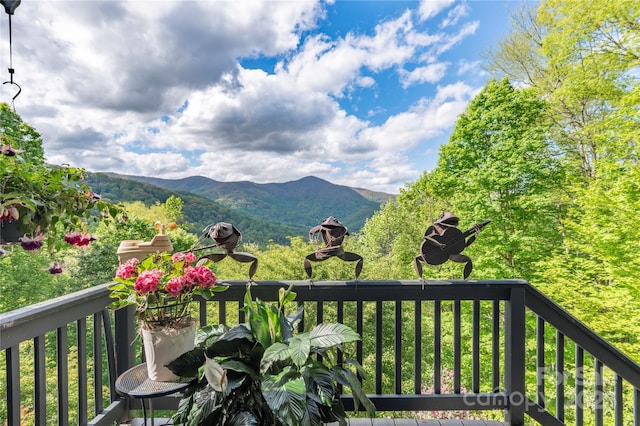806 Twin Brook Dr Unit 6A, 6B, 7A, 7B, Waynesville, NC 28785 - mountain view