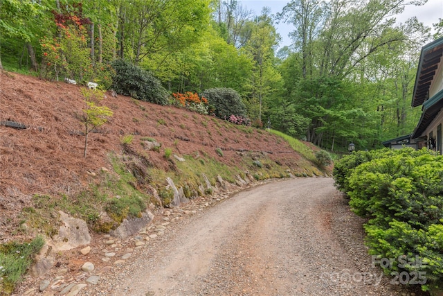 806 Twin Brook Dr Unit 6A, 6B, 7A, 7B, Waynesville, NC 28785 - view of dirt / gravel road