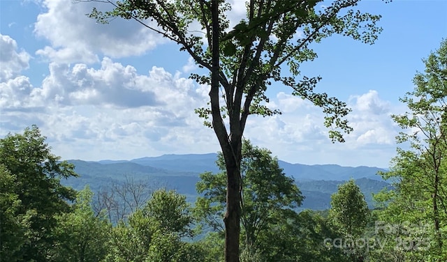 TBD Heritage Ridge Rd Unit H5, Elk Park, NC 28622 - photo 2