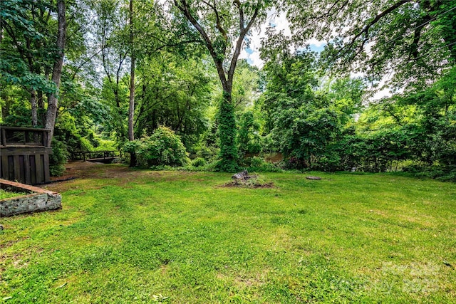 view of green lawn