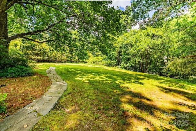 view of grassy yard with a forest view