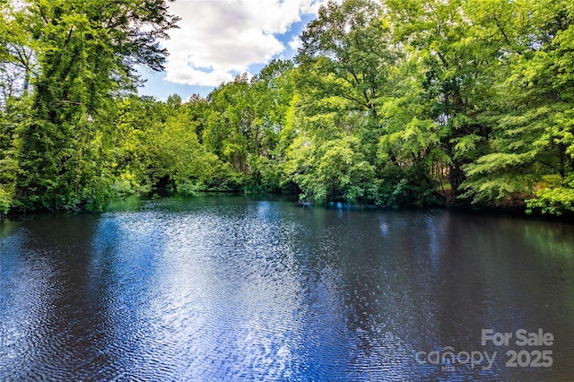 water view featuring a forest