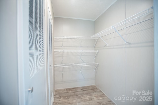 spacious closet featuring wood finished floors