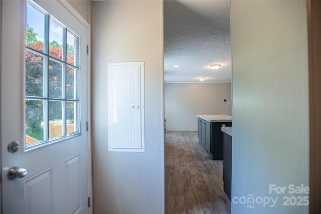 interior space featuring dark wood-type flooring, a textured ceiling, and electric panel