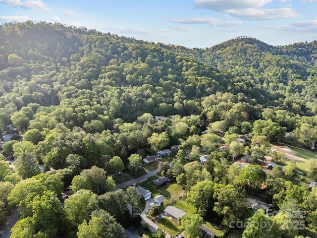 5 Hillview Rd, Asheville, NC 28805 - photo 11