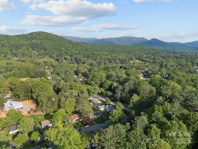 5 Hillview Rd, Asheville, NC 28805 - photo 12