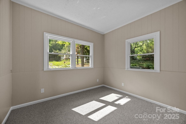 5 Hillview Rd, Asheville, NC 28805 - photo 24