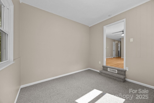 5 Hillview Rd, Asheville, NC 28805 - photo 25
