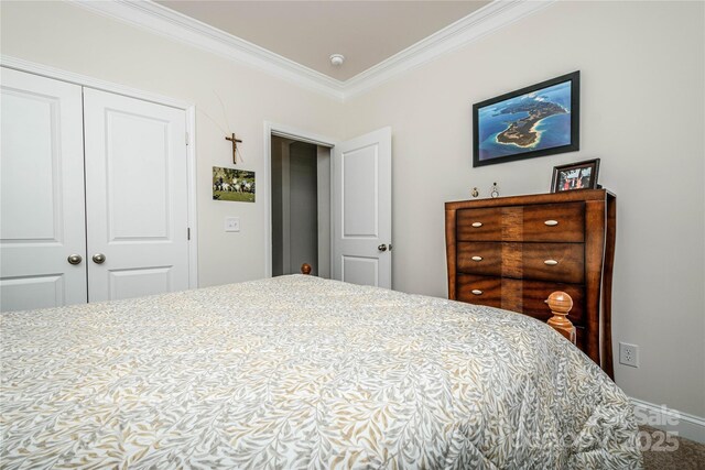 70 Cameo Dr, Flat Rock, NC 28731 - bedroom with a closet and crown molding
