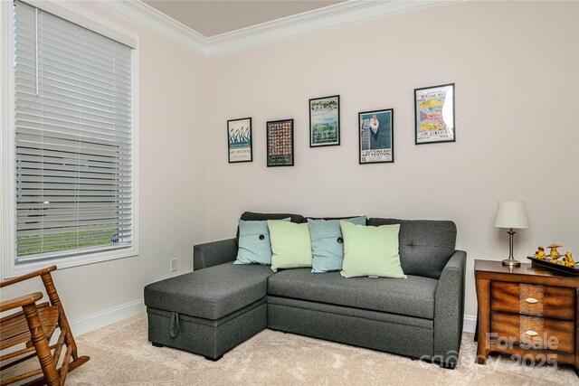 70 Cameo Dr, Flat Rock, NC 28731 - sitting room with carpet flooring, crown molding, and baseboards